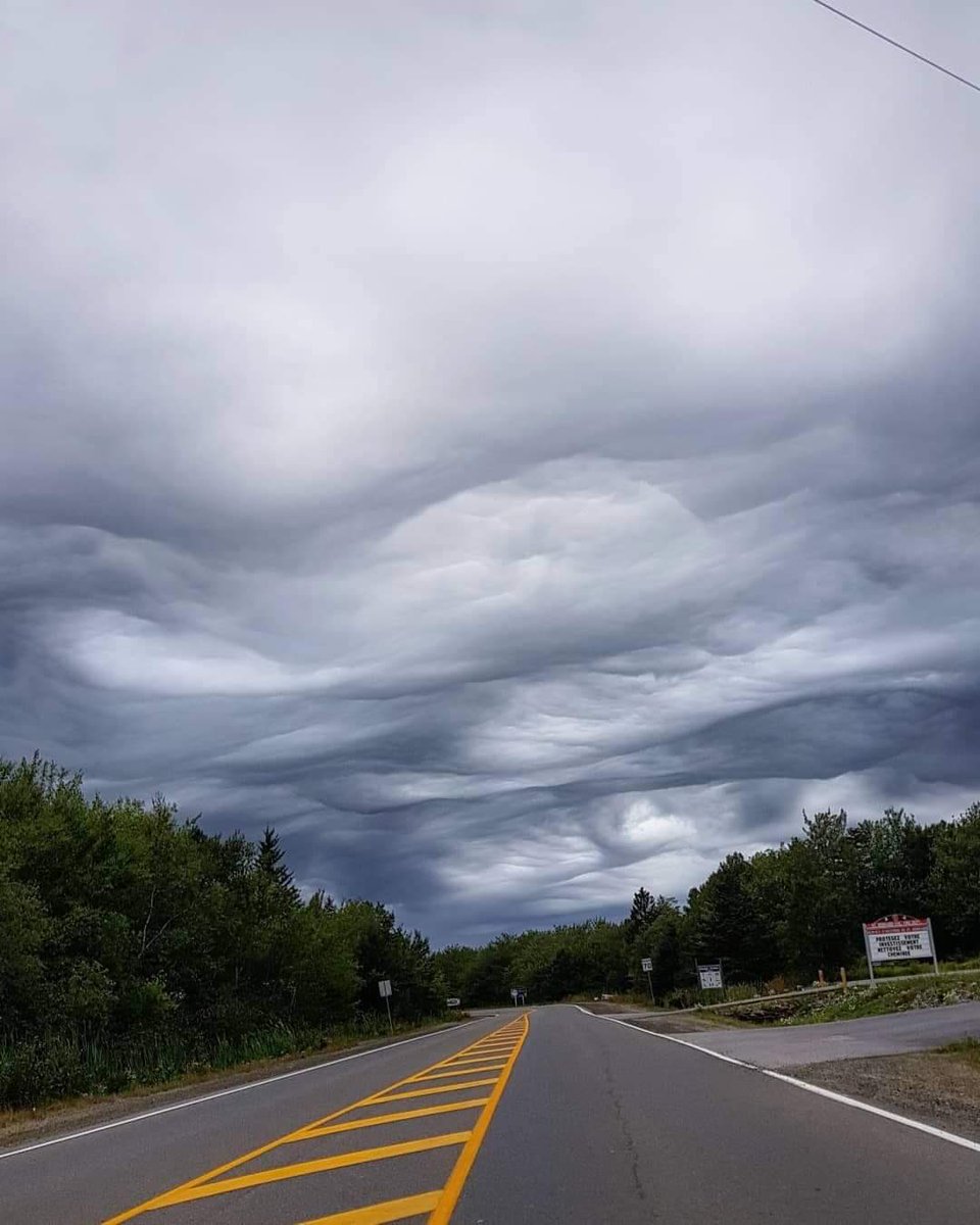 Gisele Theriault tweet media