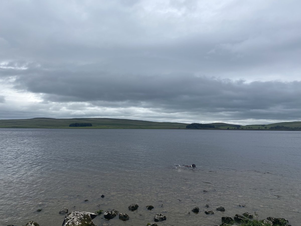 Craig Silcock tweet media