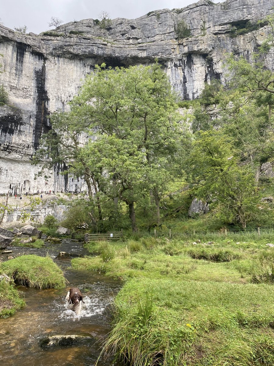 Craig Silcock tweet media