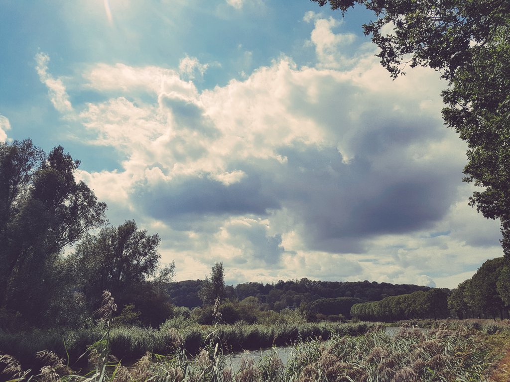 hoekzema59's tweet photo. https://t.co/vg4ZjMIaIm dagje #ooijpolder #persingen #oortjeshekken -3 https://t.co/OLlhZgNPqL