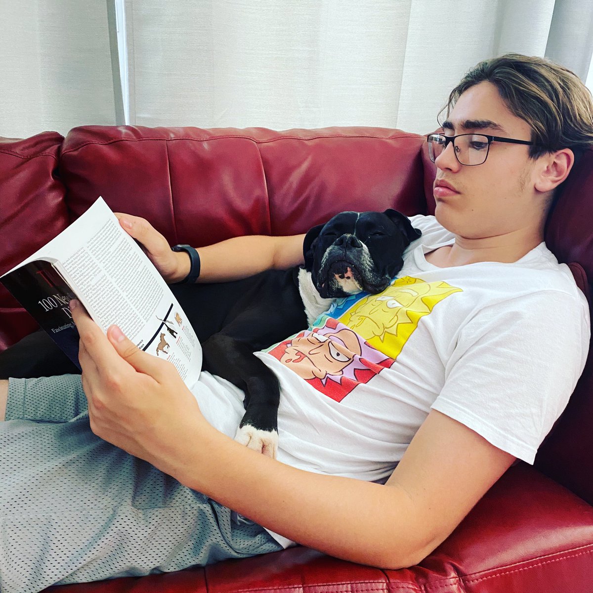 hellwright's tweet photo. I don’t know who is happier when he reads, the dog or me? #boxersofinstagram #aboyandhisdog #bestbuds #readingtime #faithfulcompanions https://t.co/8cCWu3pOtP
