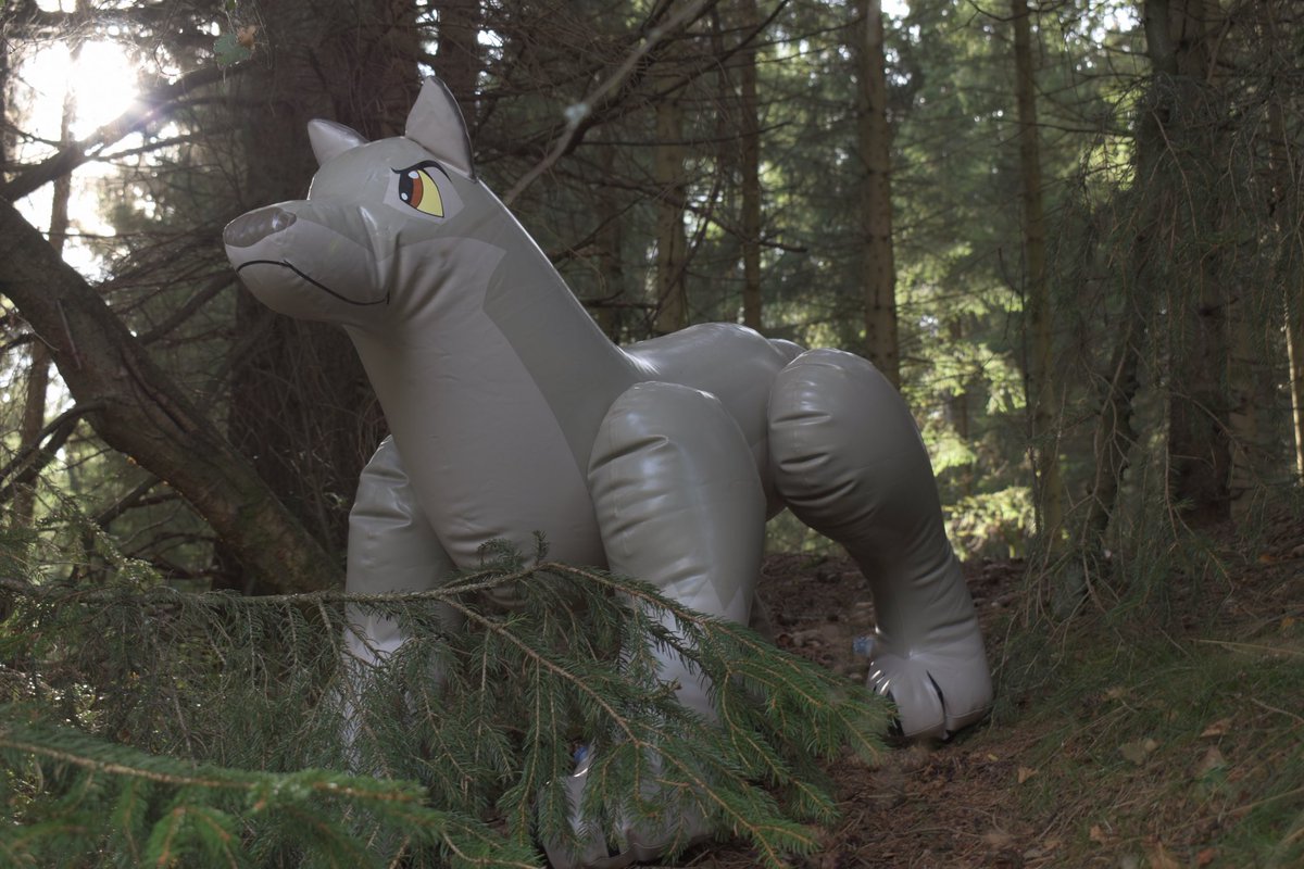 Balto in the woods :3 #inflatable #squeaky #aufblasbar #pooltoy #dog #wolfdog #woods