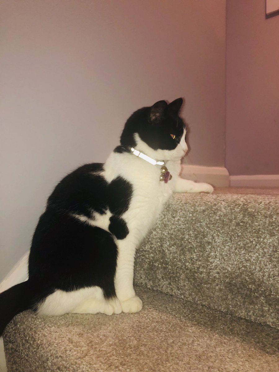 It’s the vibe 🤟🏼🤘🏼😎 #ZSHQ