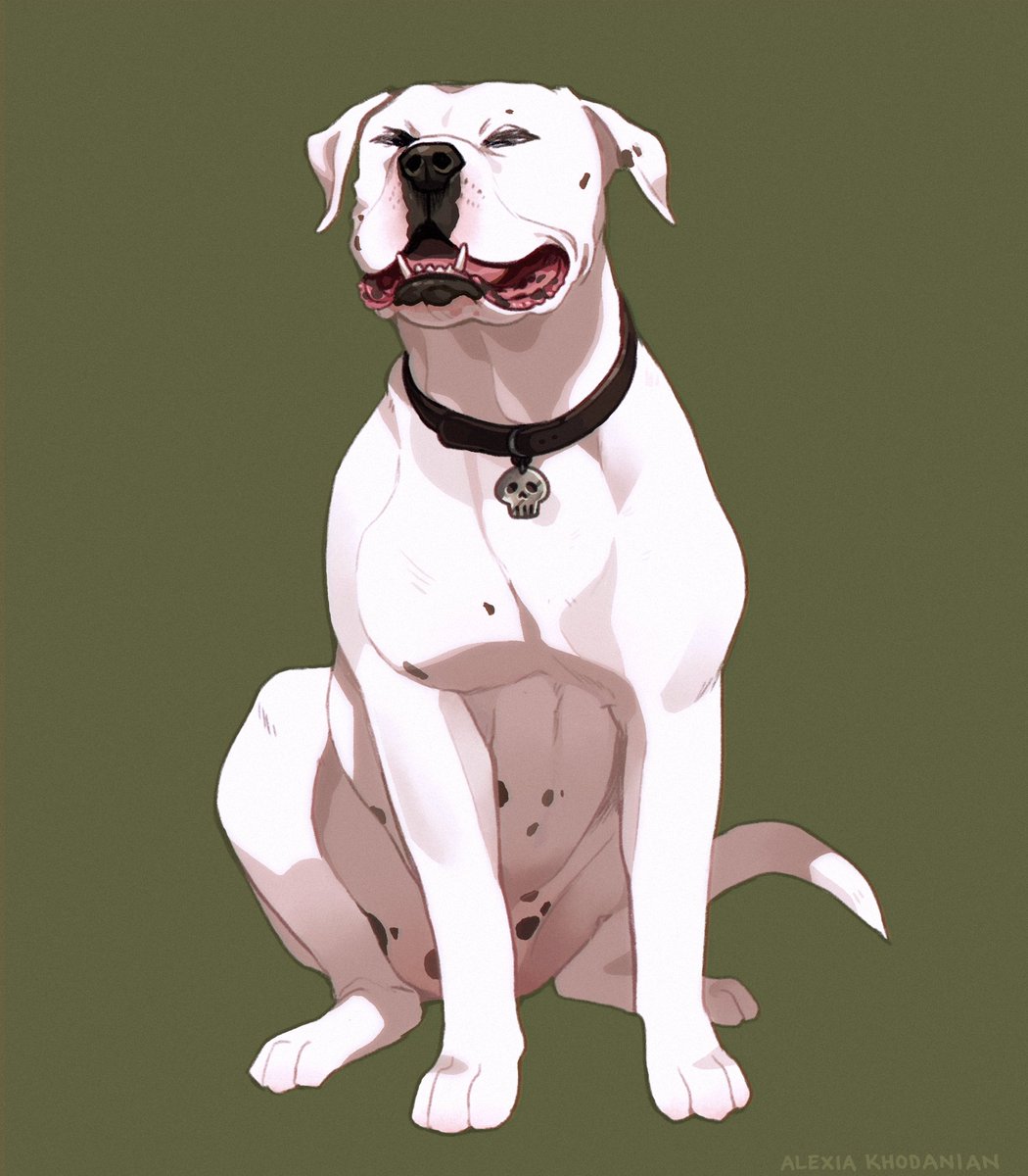  #doggust 28: American Bulldog! king of high school mascots