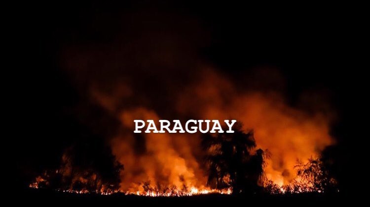 ¿WHY ARE THE FIRES IN THESE TWO COUNTRIES NOT VIRAL LIKE THOSE IN AUSTRALIA?Argentina and Paraguay are on fire and no one talks about this, literally no one talks about this NOBODY.