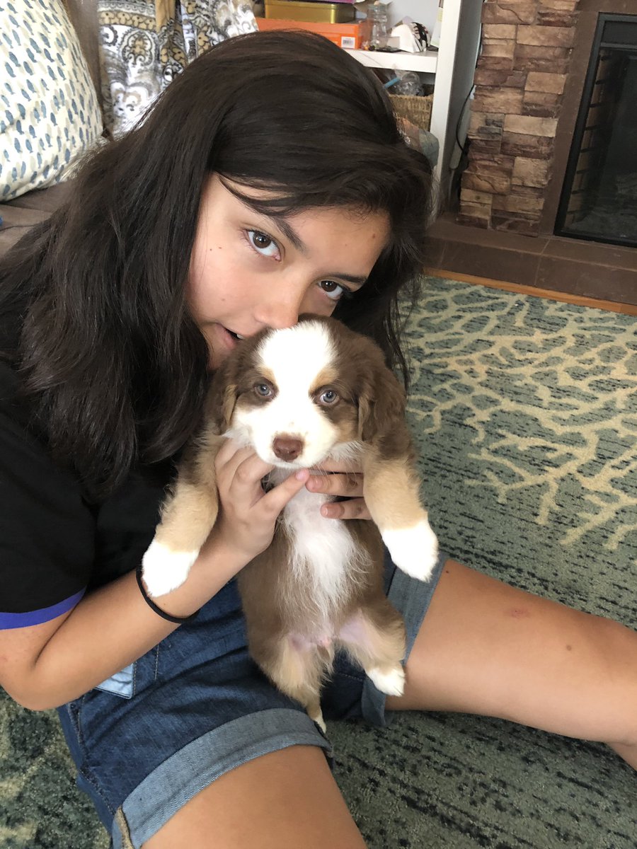 WonderTailsTransport tweet media