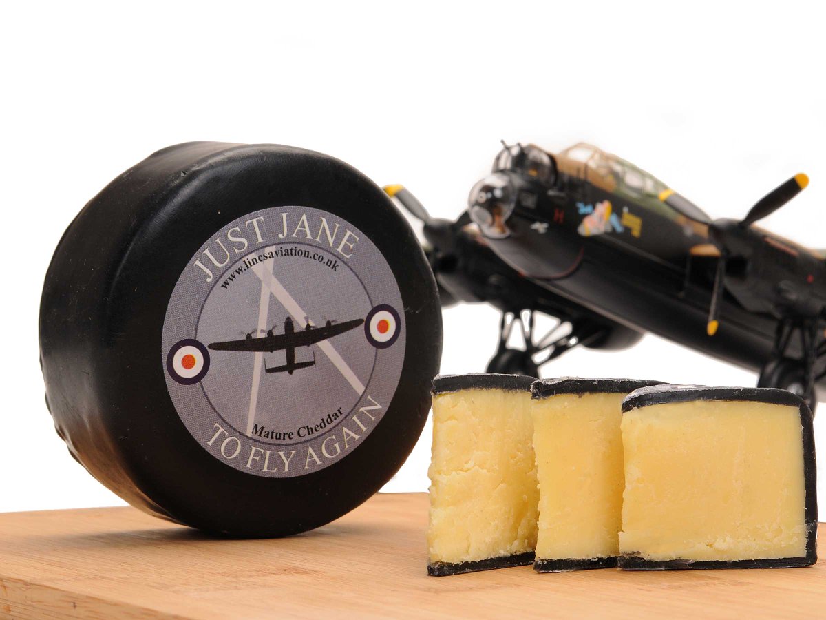 NATIONAL CHEESE PIZZA DAY - TODAY!! - GET YOURS ON TOP - POSTACHEESE.COM #pizza #cheese #ontop #cheesepizza