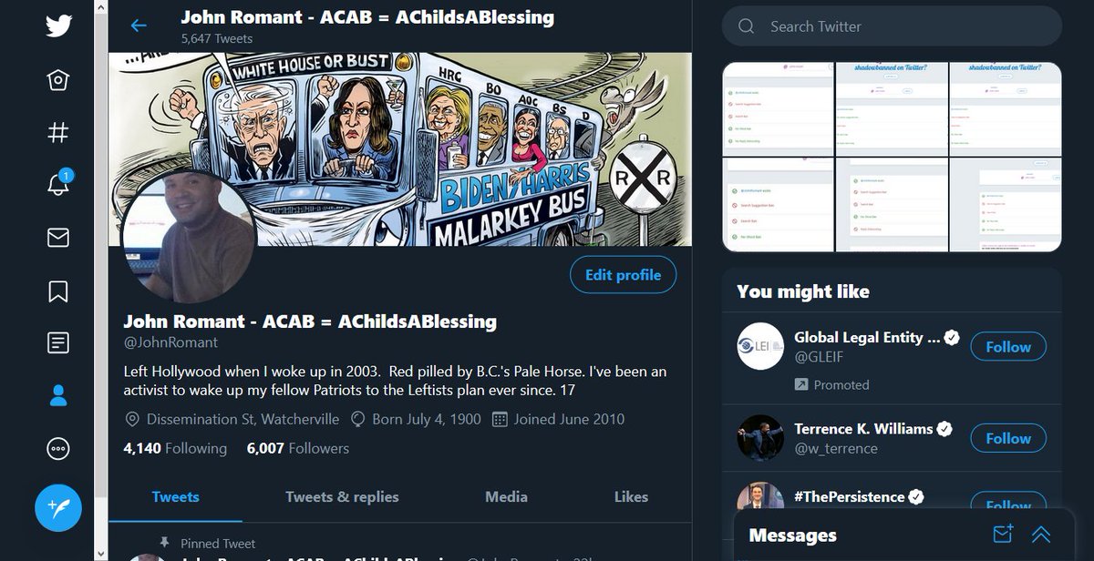 After changing my profile to a faux leftists looking with ACAB added and Biden Harris image added, my profile now has all but 1 ban lifted immediately.