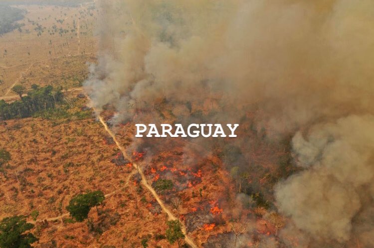CÓRDOBA, CATAMARCA, PARAGUAY, ENTRE RÍOS, el humo del fuego se extiende cada vez más rápido y es muy peligroso para las personas que viven ahí