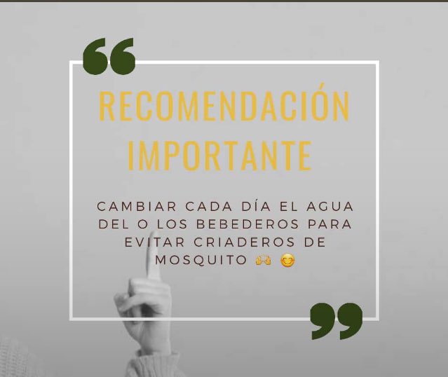 Apiculturasapy's tweet photo. Los incendios están arrasando la biodiversidad y también el hábitat de personas que llevan producciones sostenibles como la apicultura. Podes ayudar a las abejas y pajaritos haciendo bebederos de aguas, colócalo bajo árboles en esta temporada de sequía y calor nos necesitan‼️🆘 https://t.co/aBnMyAJEZY