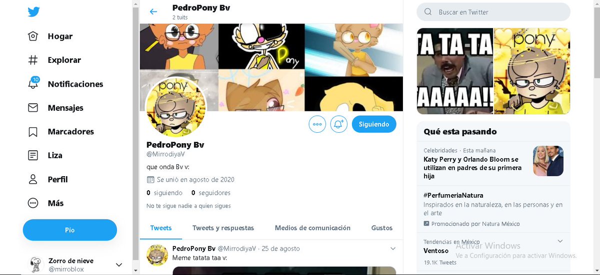 mirroblox's tweet photo. tengo mi otra cuenta de twitter en mi pc :D vayan y siganme plis qwq:https://t.co/SkkdrK8CQd https://t.co/wWF1d6W37l