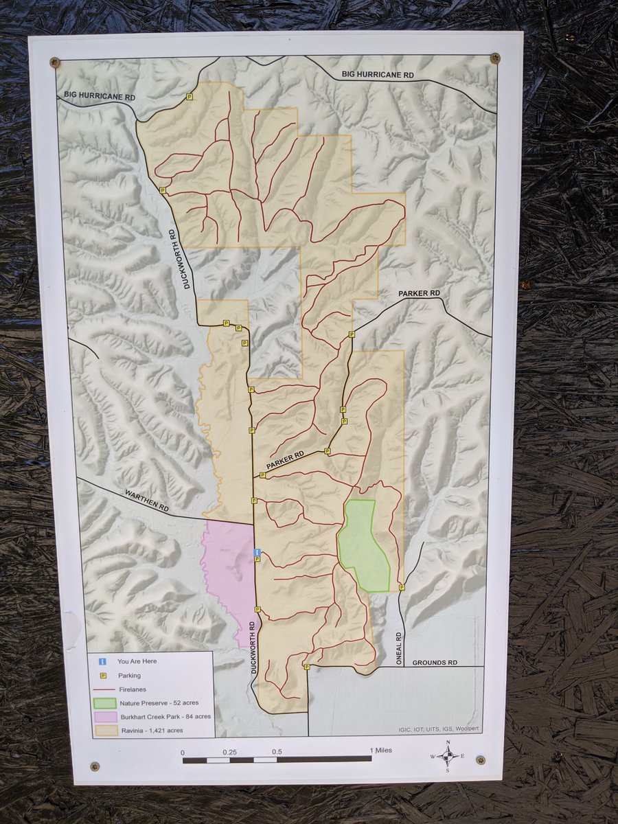 Thee_Mac_Attack's tweet photo. Checked out one of our new State Forests today. The forest is there but the trails are NOT cleared yet. Epic bushwhack rash though... 🤣🌾😣 #RaviniaStateForest https://t.co/KFGXYIdtJV