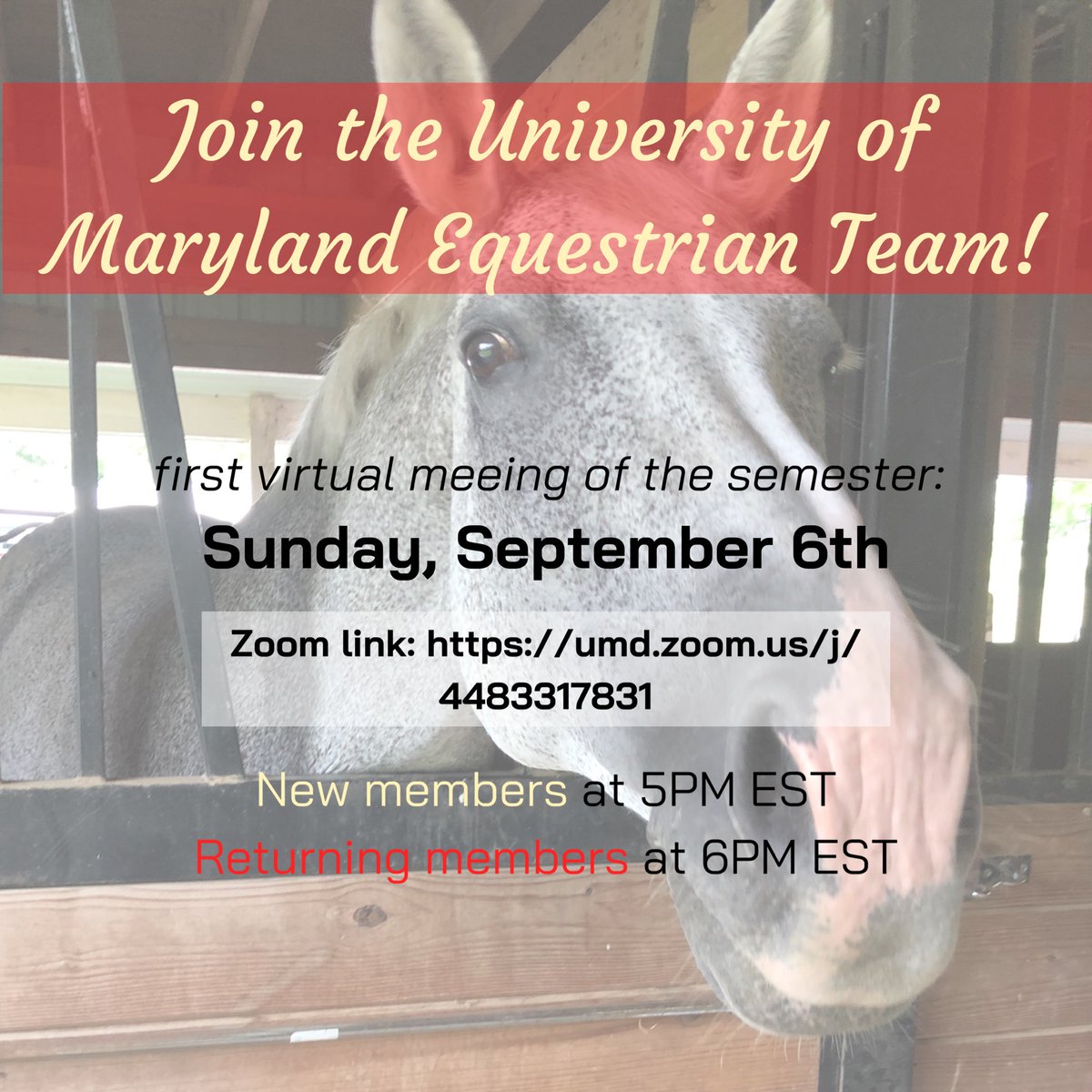 UMDEquestrian's tweet photo. Join us for our first VIRTUAL meeting of the fall 2020 semester via Zoom! 💻 We will be going over some important changes and also general information. See you there! 🐴❤️
Zoom link: https://t.co/RrBS4ygzbg
#rideihsa #activeterps #horsesofinstagram #umd https://t.co/rMPuzqADql
