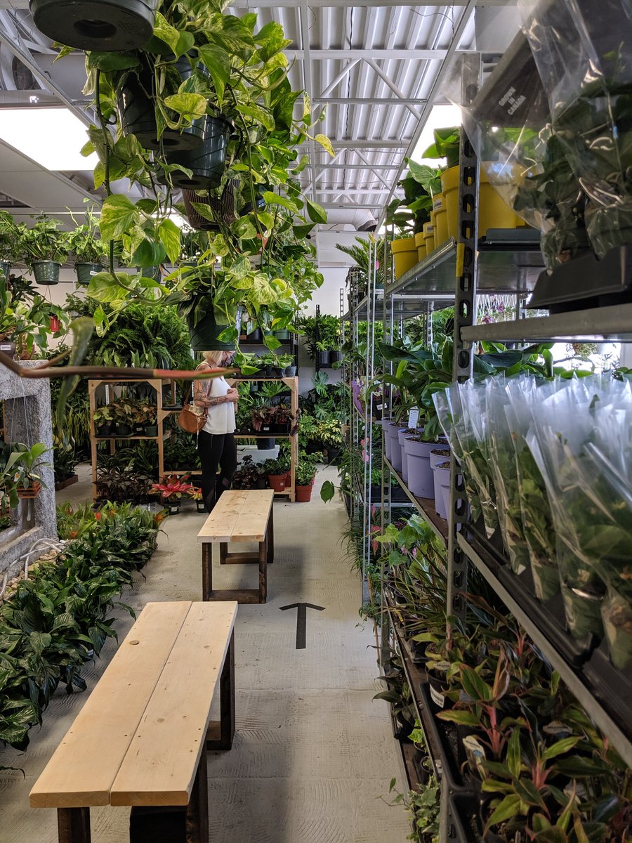 LenardMonkman1's tweet image. Today was probably the first time that I've bought plants lol. Go and check out the new store, Plant Momma in Winnipeg's north end.