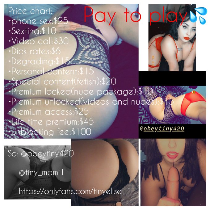 tinylatinamami