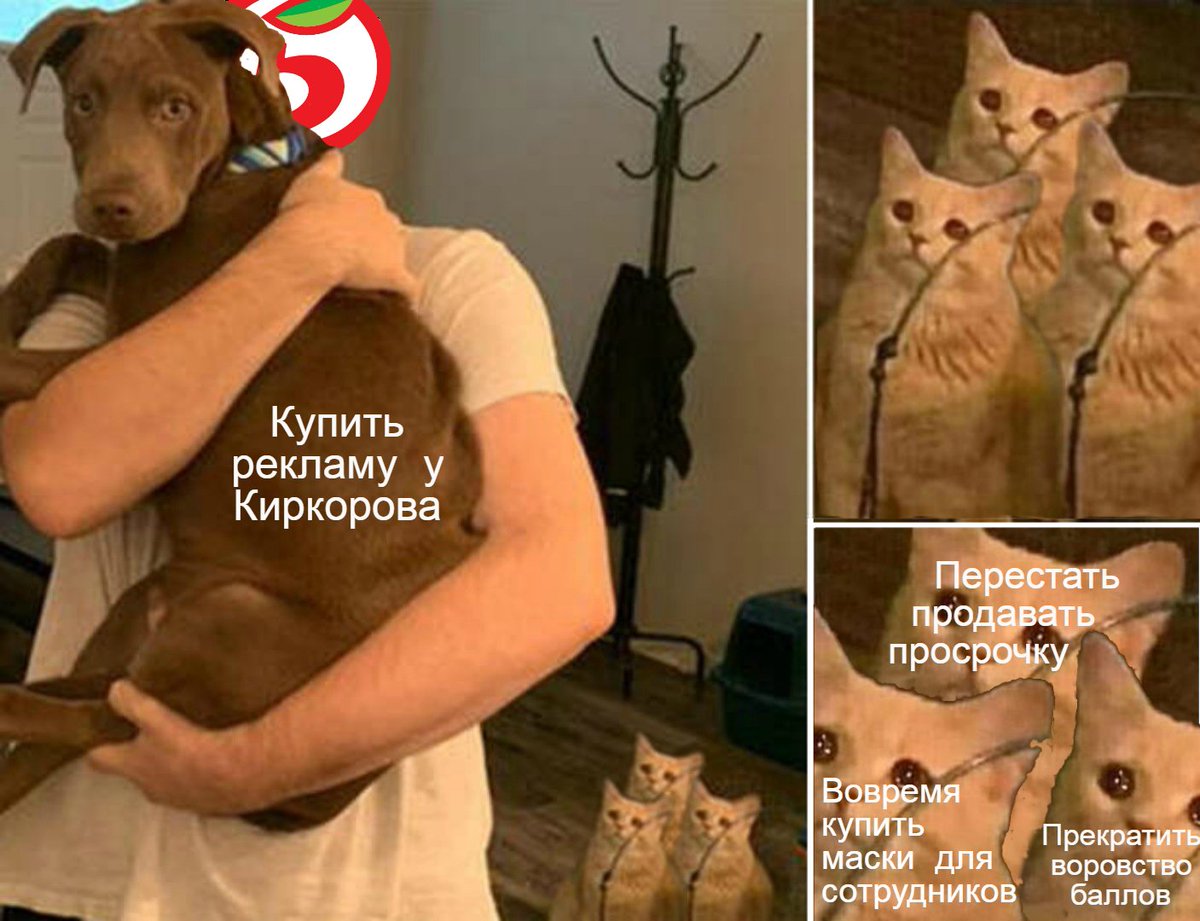graysmolev's tweet photo. @5ka_ru https://t.co/VrP6z8M6kQ
