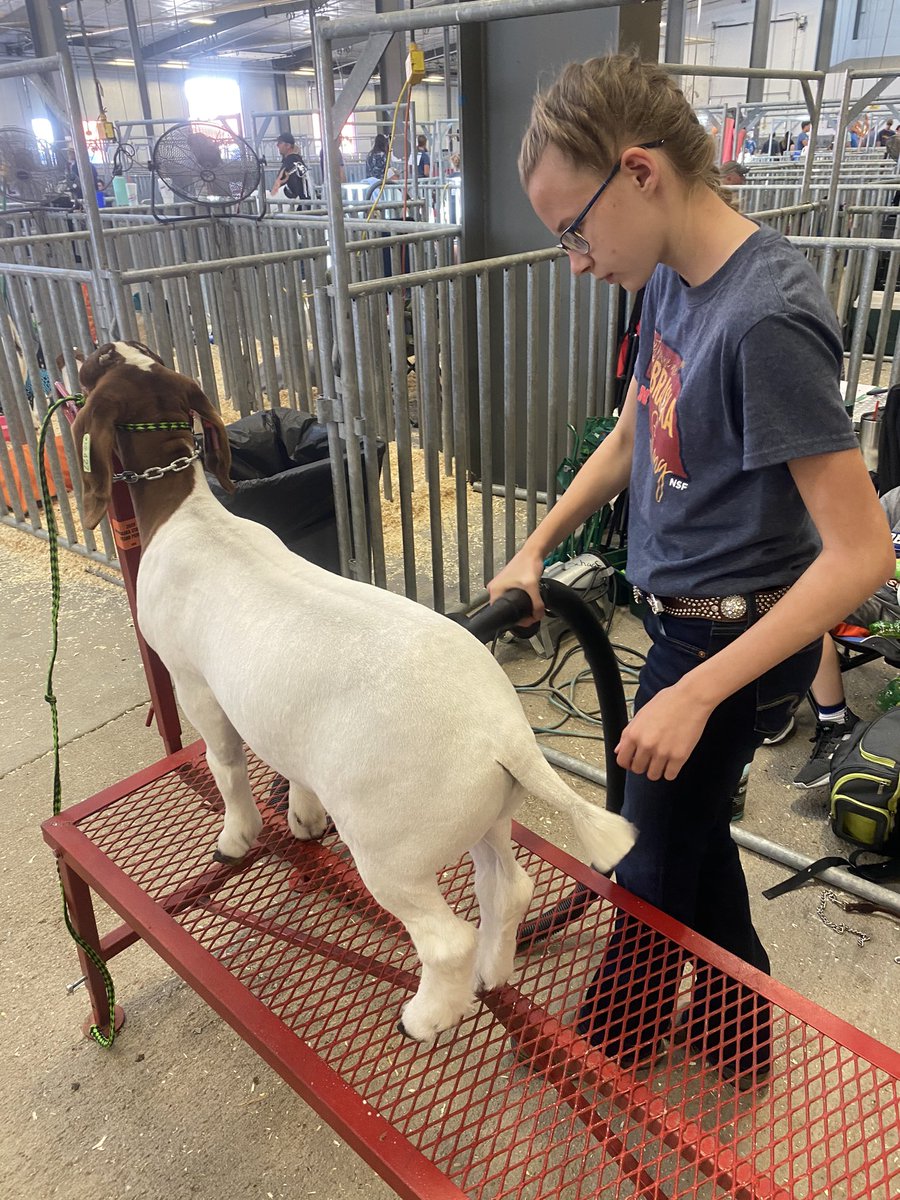 NEStateFair tweet picture