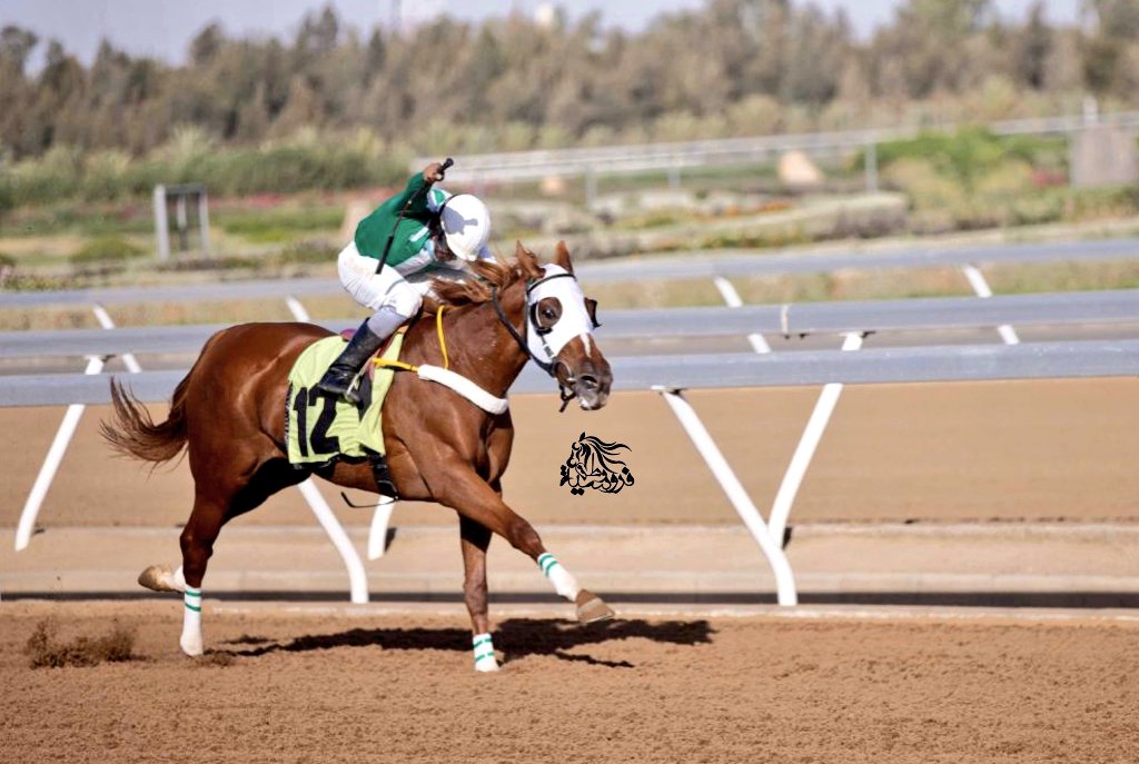 راشقه ...
🇸🇦🏆🇸🇦

جميلة هذه المهره
