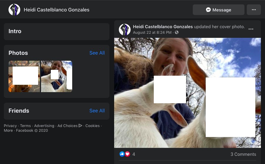 Heidi Castelblanco Gonzales who made it easy by posting her fb pic on  #KyleRittenhouse's fundraiser & gave $25  https://www.facebook.com/dawn.gonzales.9847 we edited it to save the goats!Jennifer Schwausch gave $25 & looks like she supports Kyle + is really into  #QAnons  https://www.facebook.com/jen.schwausch 