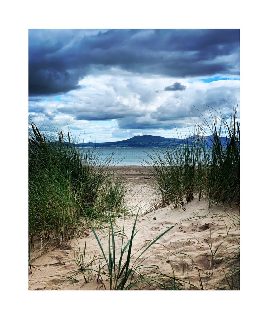 v10let_1's tweet photo. Loving having time with the camera again... #Anglesey is so beautiful. Had a fantastic day at #llanddwynisland #newboroughbeach #newboroughforest 🌲🏔🚍🏴󠁧󠁢󠁷󠁬󠁳󠁿📷 https://t.co/FvW483Jz7L