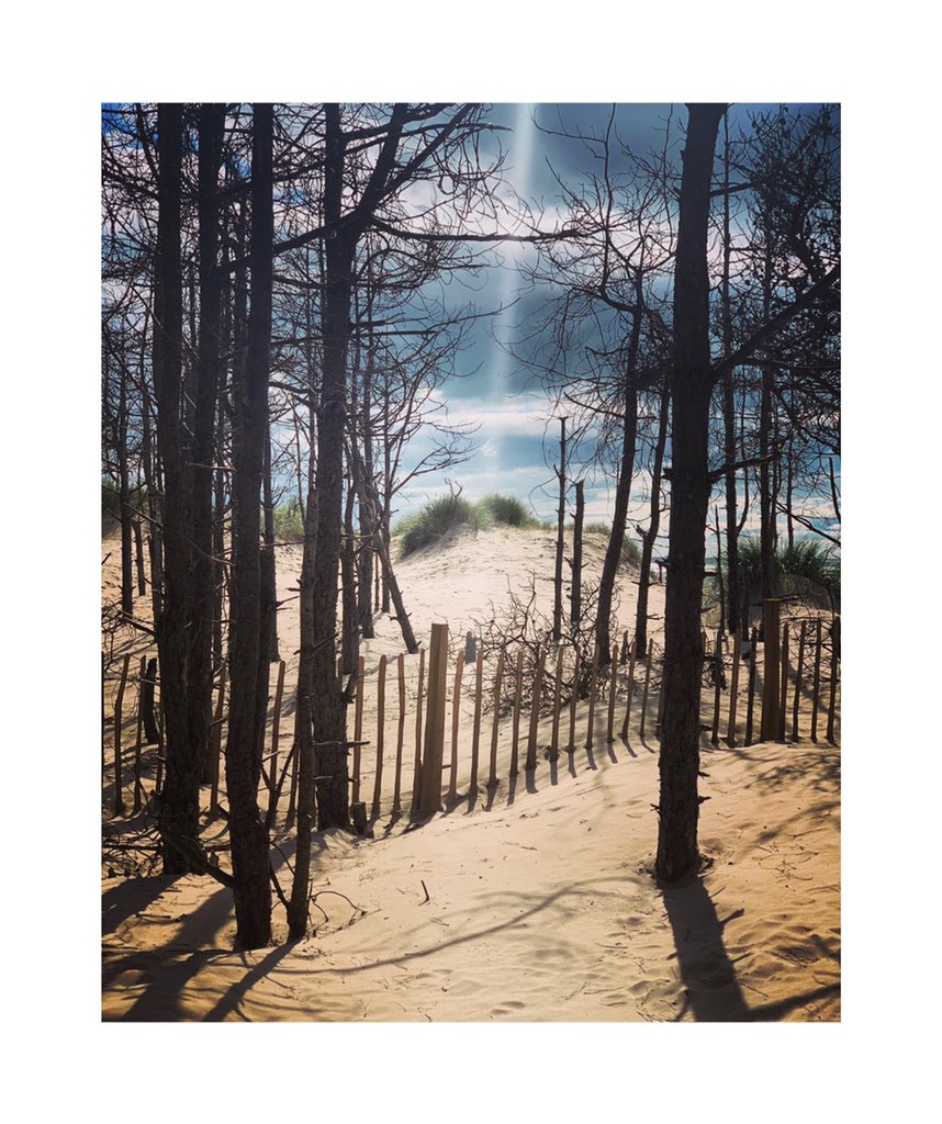 v10let_1's tweet photo. Loving having time with the camera again... #Anglesey is so beautiful. Had a fantastic day at #llanddwynisland #newboroughbeach #newboroughforest 🌲🏔🚍🏴󠁧󠁢󠁷󠁬󠁳󠁿📷 https://t.co/FvW483Jz7L