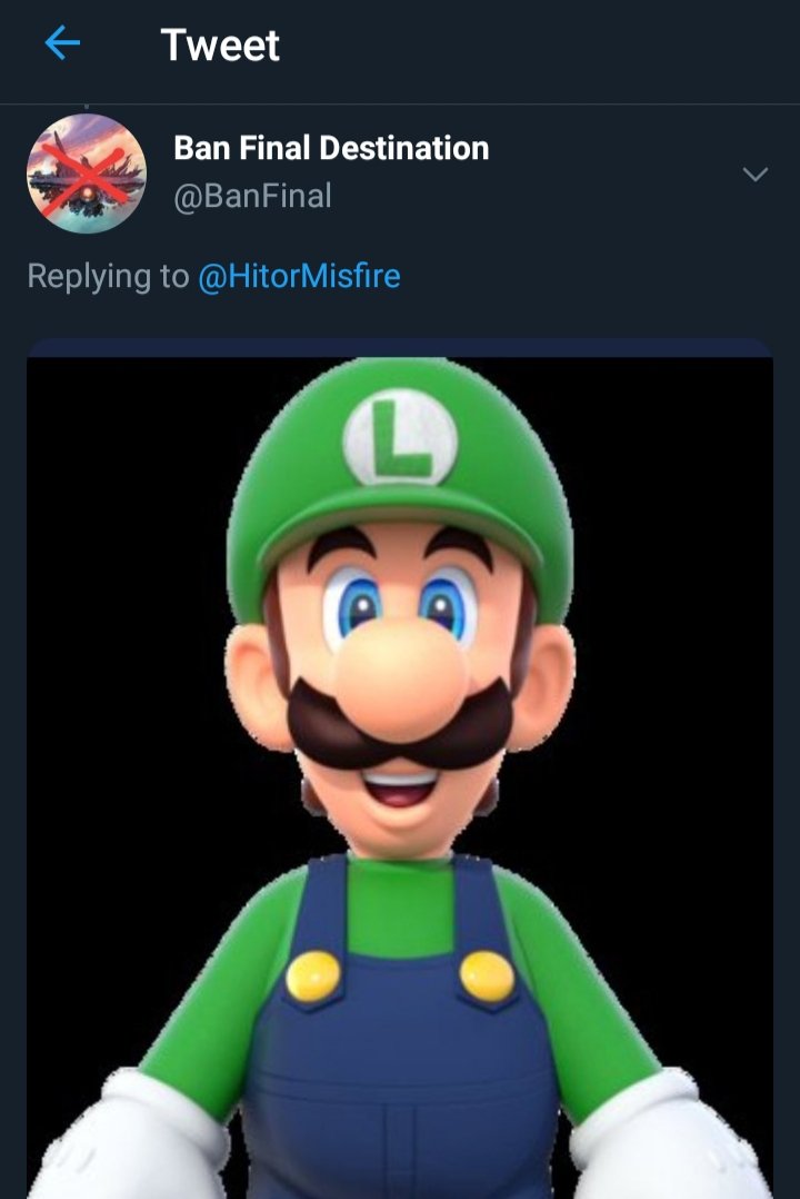 PEOPLE LIKE LUIGI, GET OVER IT MARIO - Imgflip