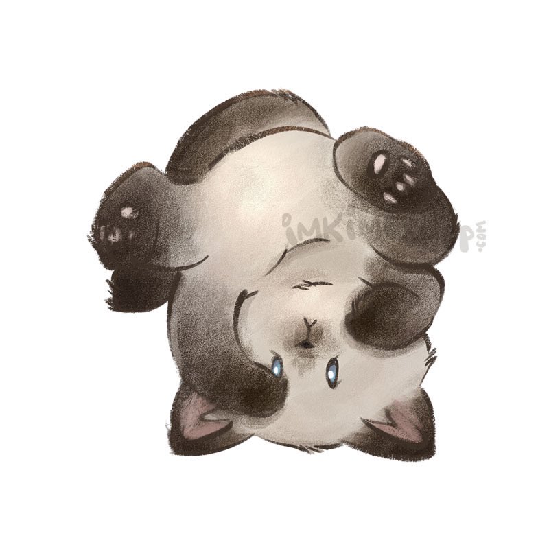 imkimeShop's tweet photo. Newest #sticker design ordered from #Stickermule!!!!!!!!!!! #excite! https://t.co/ReiGc6Yn2R