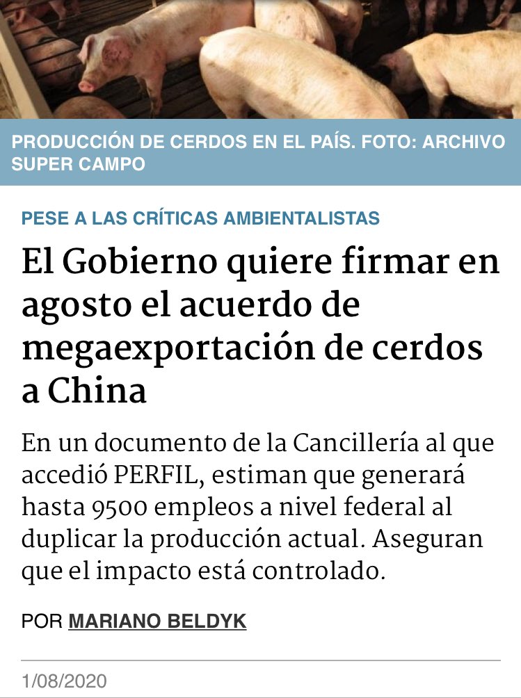 Argentina esta por firmar un acuerdo con China, en el que básicamente se compromete a invertir 27millones de dólares, para pasar de producir 6MILLONES de cerdos a 100MILLONES DE CERDOS POR AÑO.