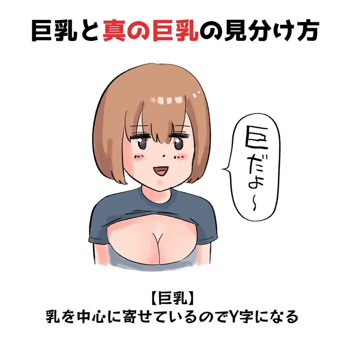 巨乳と"真の巨乳"の見分け方を発見してしまいました 