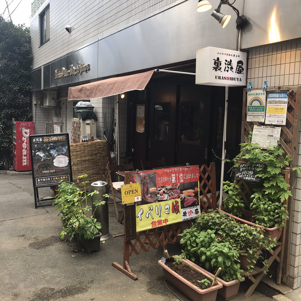 イベリコ豚おんどる焼 裏渋屋 در توییتر 渋谷イベリコ豚 休日ランチ 営業中 こんにちは 本日8 30 日 も元気にオープン お待ちしてます 渋谷 イベリコ豚 ランチ ブランチ 肉 裏渋 裏渋谷 裏渋屋 イベリコ豚おんどる焼 裏渋屋 در توییتر 渋谷イベリコ豚 休日ランチ 営業中 こんにちは 本日8 30 日 も元気にオープン お待ちしてます 渋谷 イベリコ豚 ランチ ブランチ 肉 裏渋 裏渋谷 裏渋屋