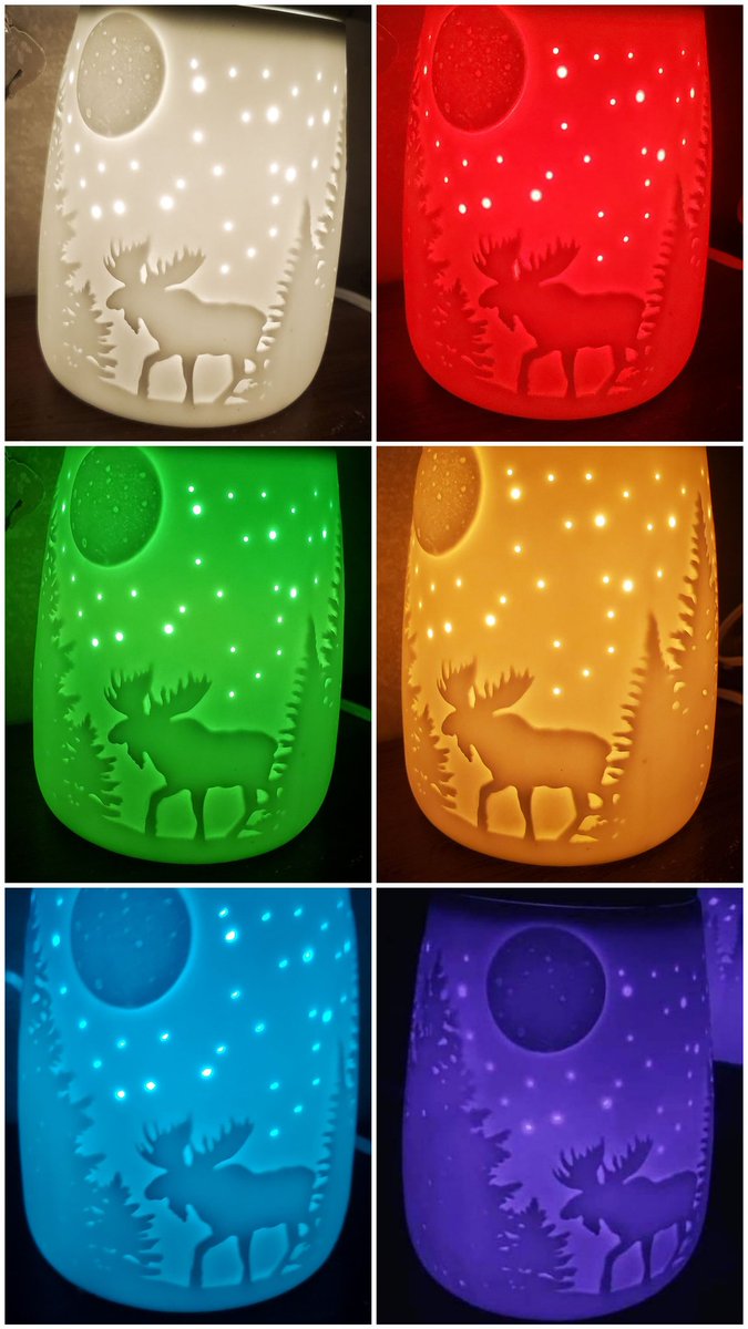 Bellarose452's tweet photo. Starry Frontier with each color bulb we have. Regular bulb first, red bulb, green bulb, orange bulb, blue bulb and purple bulb.

https://t.co/vUsW6h2il1 https://t.co/XBHZRZMmGe