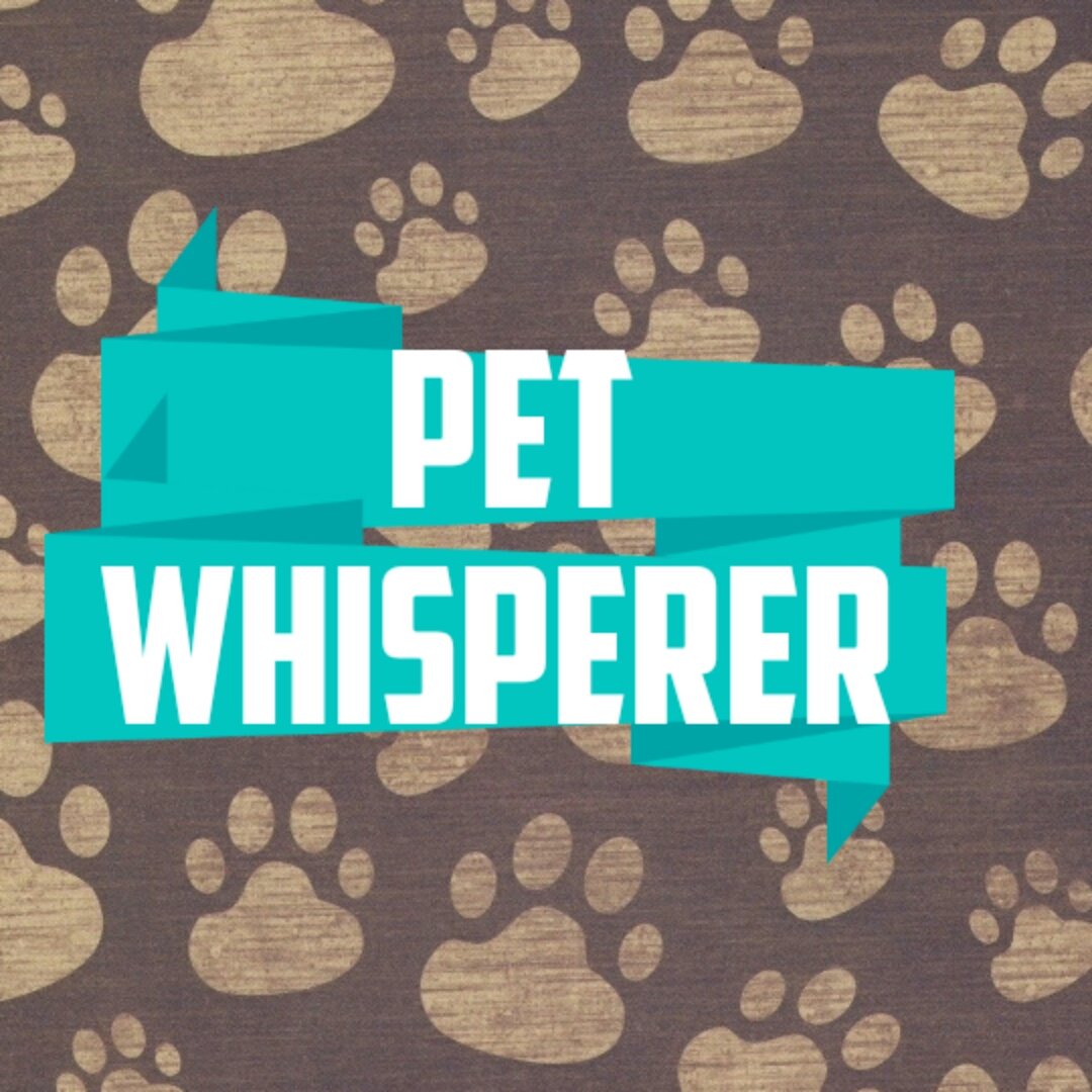 If your pet have any problem please DM me directly I gonna give you simple ways through which your pet be more happy and connected there is not need for strict trainers or scolding your pet juts need your guidance and a little help of me