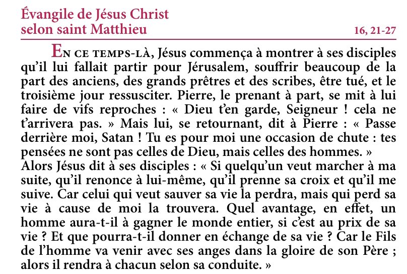 PSEVEZsj's tweet photo. "Quel avantage, en effet, un homme aura-t-il à gagner le monde entier, si c’est au prix de sa vie ? Et que pourra-t-il donner en échange de sa vie ?"  Matthieu 16

#EvangileDuJour #EvangileDuDimanche https://t.co/UHRoUEE5dU