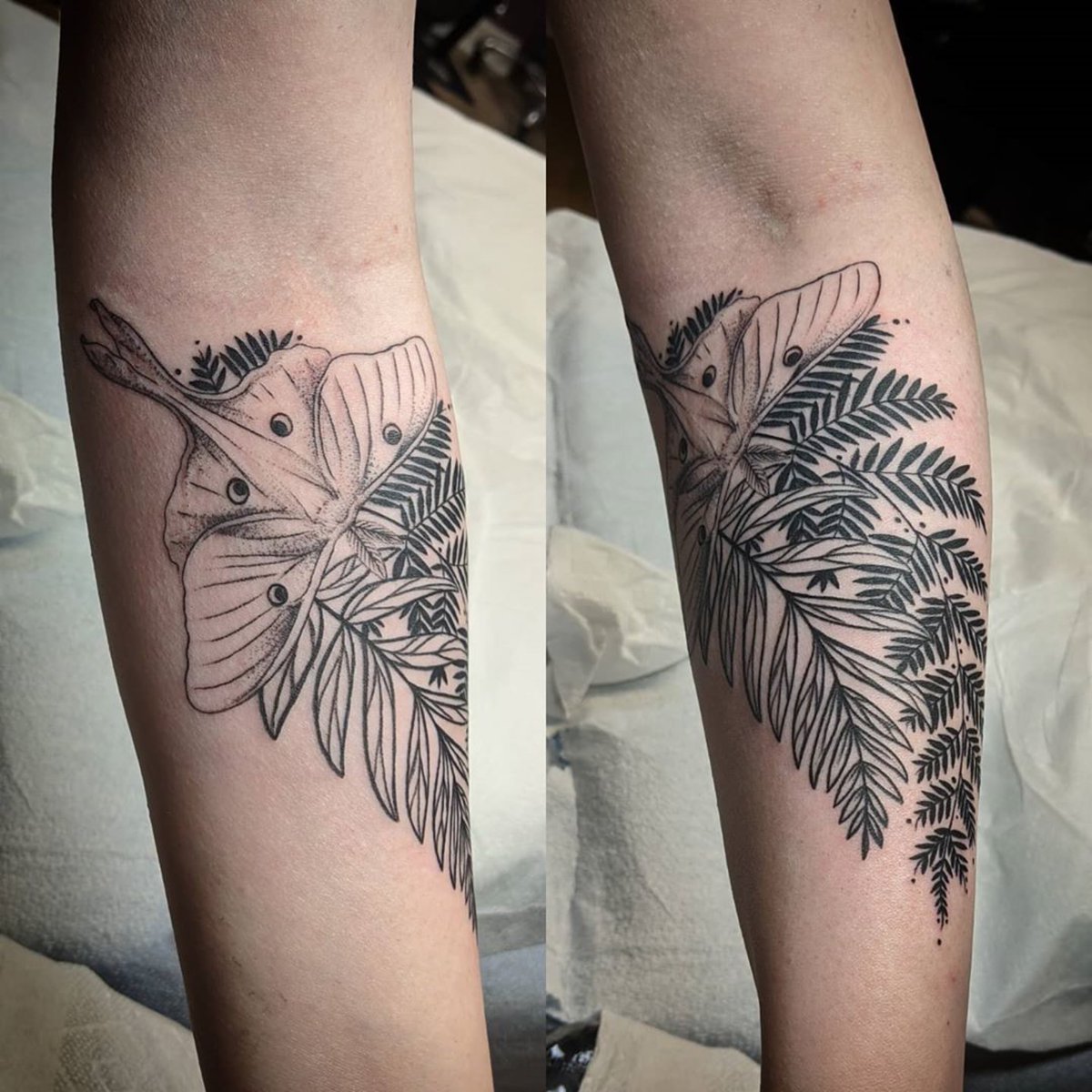 StudioEvolveLLC's tweet photo. Tattoo by Nikki Canady. Follow  @nikkicanadyart for more! https://t.co/j3DaSG2Lwe