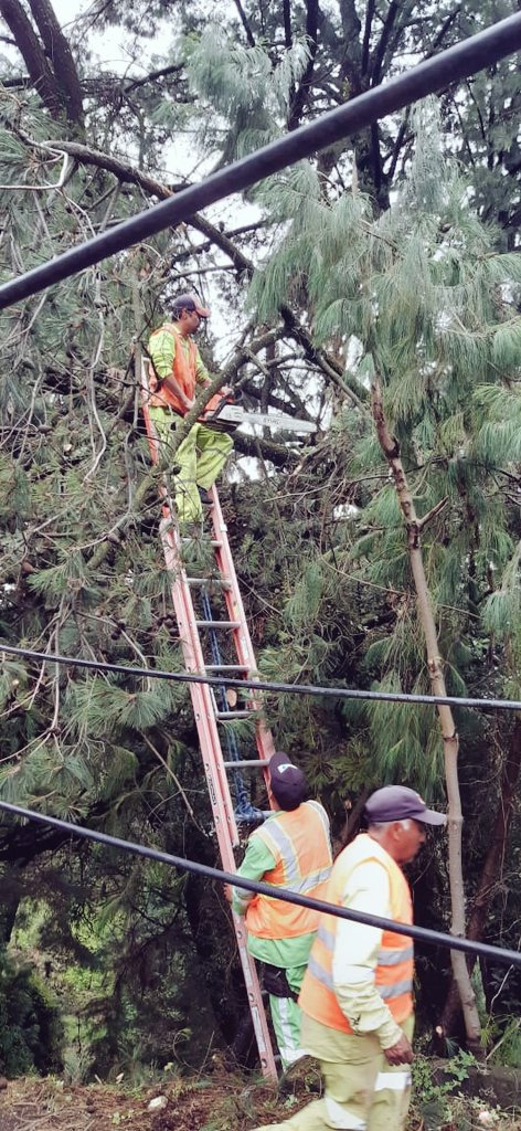SICTMorelos's tweet photo. #SCTMor en coordinación con @CFEmx atienden afectación en la Carretera: México - Cuernavaca, Tramo: Ramal a Lagunas de Zempoala, Km: 4+700 🚧👍🏻🚘 https://t.co/YPYGJFVJuC