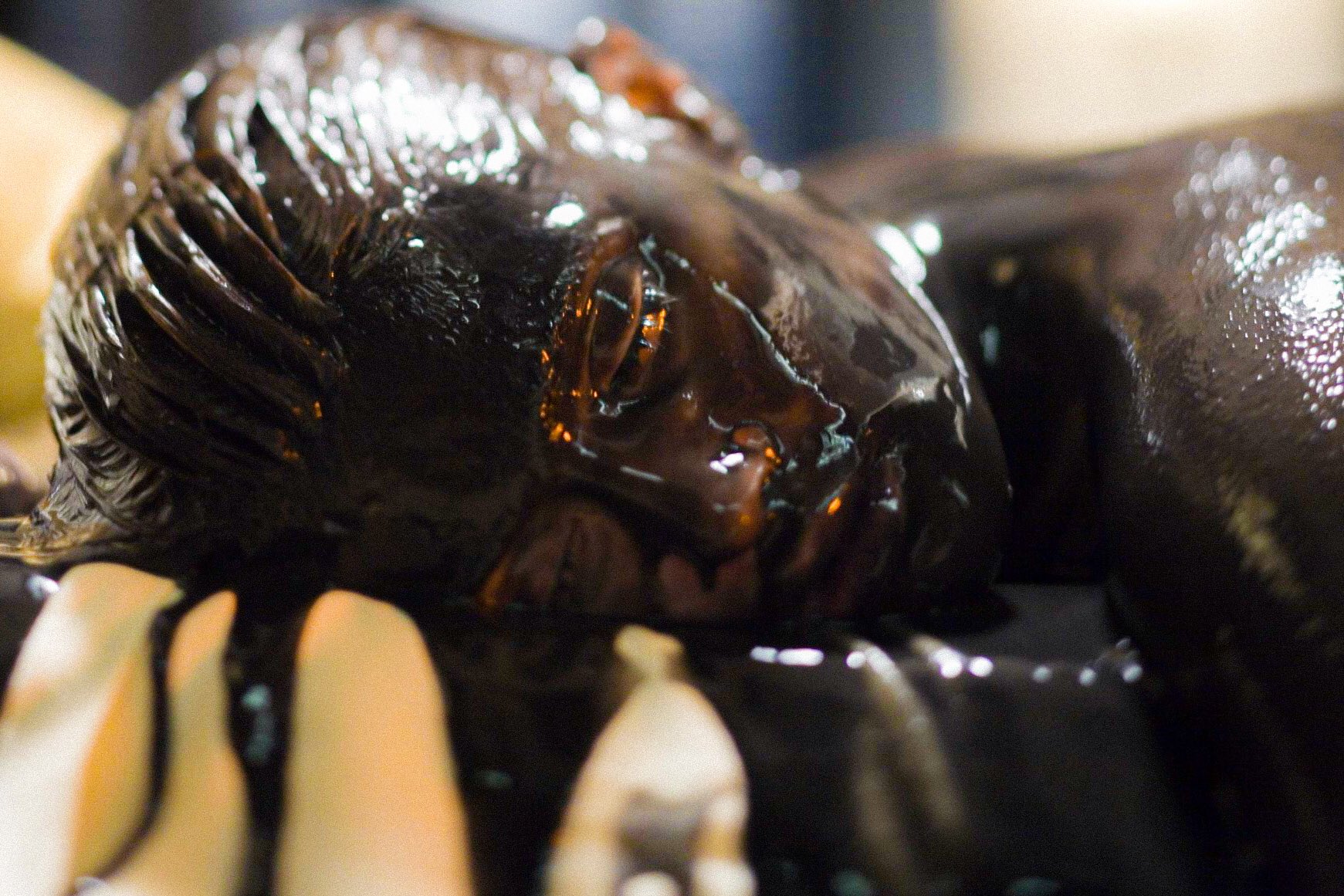 gemma arterton posts on X: "Gemma Arterton covered in oil in James Bond:  Quantum of Solace (2008) bts “At the time I thought it was quite  unpleasant, but then I thought, \