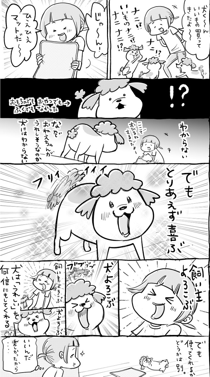 犬と猫どっちも飼ってると、プレゼントはずしたって毎日たのしい 