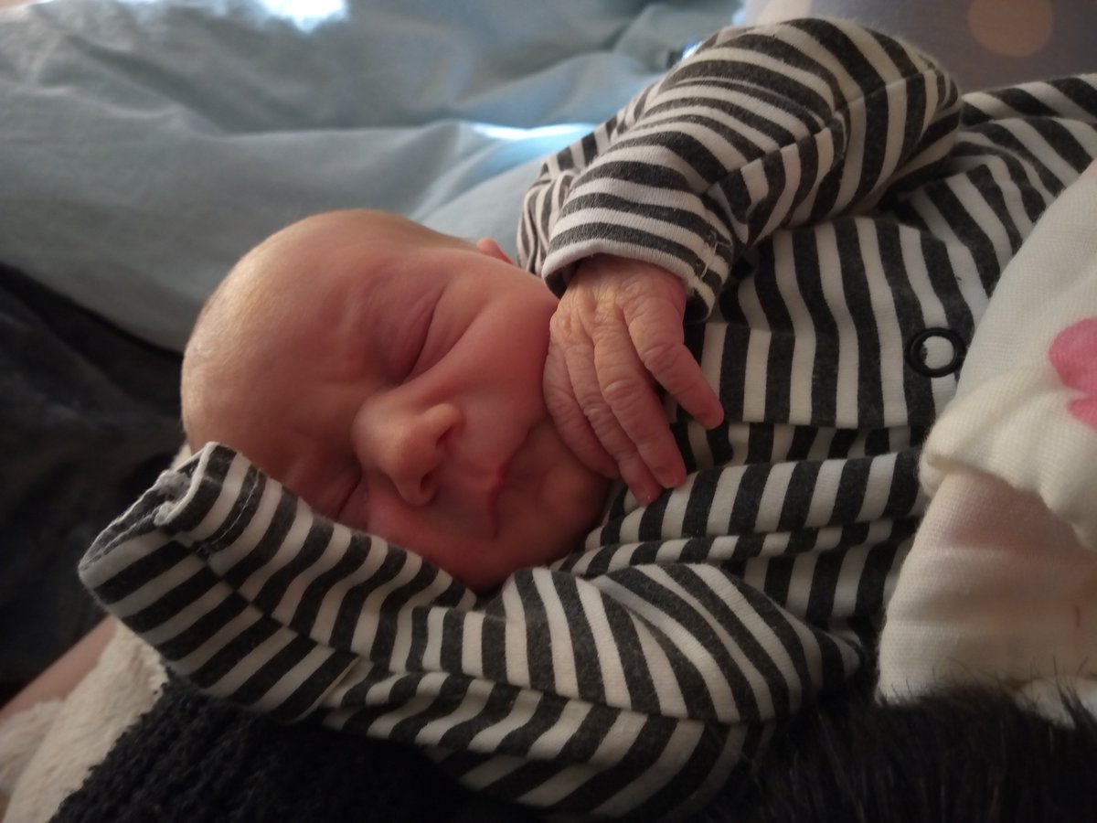 RachelMacStarStream tweet media