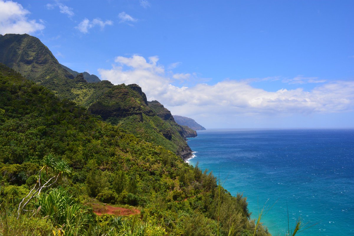fforrest11's tweet photo. Mentally I’m here https://t.co/9mGzrLIsMI