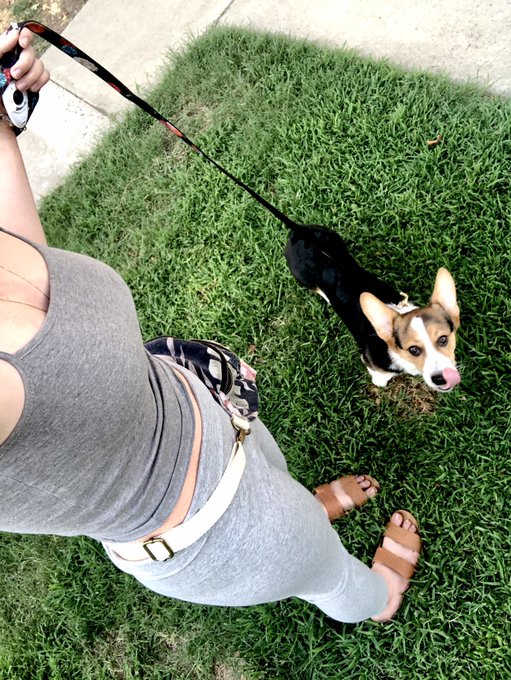 TW Pornstars Jaybbgirl. Pictures and videos from Twitter. Page 24