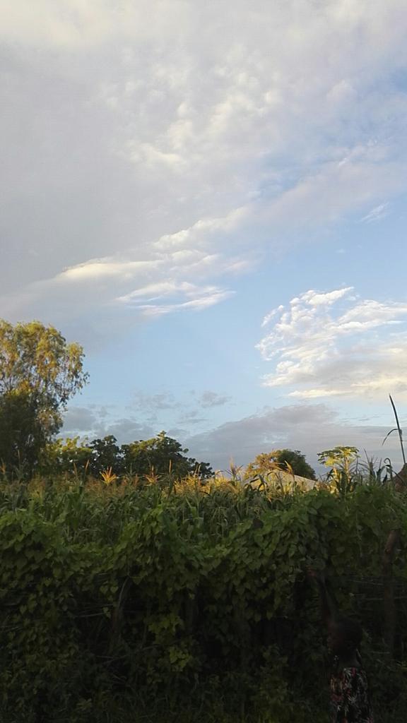 modoub20's tweet image. Beautiful climate..
#senegal
#cassa
#beautiful
#love