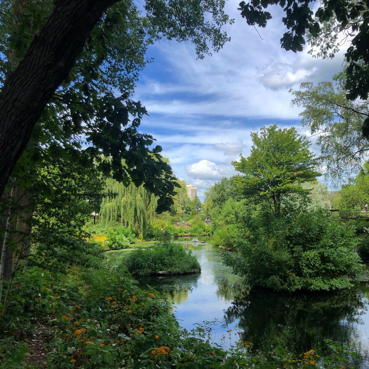 Such a great day at <a href="/lincolnparkzoo/">Lincoln Park Zoo</a> - almost felt like we were back in the #Cotswolds though!!