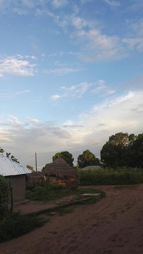 modoub20's tweet image. #beautifulclimate
#lovethenature
#loveagriculture