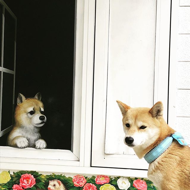 那須とりっくあーとぴあ 那須高原は今日も暑い日になりそうですね ドッグランで遊んだ跡は 那須とりっくあーとぴあでちょっと涼みませんか 抱っこかバギーでご一緒ご入館いただけます 素敵なお写真を撮って下さいね 皆様お気をつけてお越し下さい