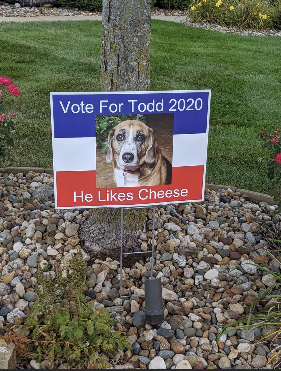 SunriseAnimal Hosp (@sunriseanhosp) on Twitter photo 