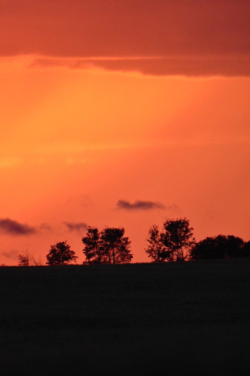 The calm before the storm of #harvest20