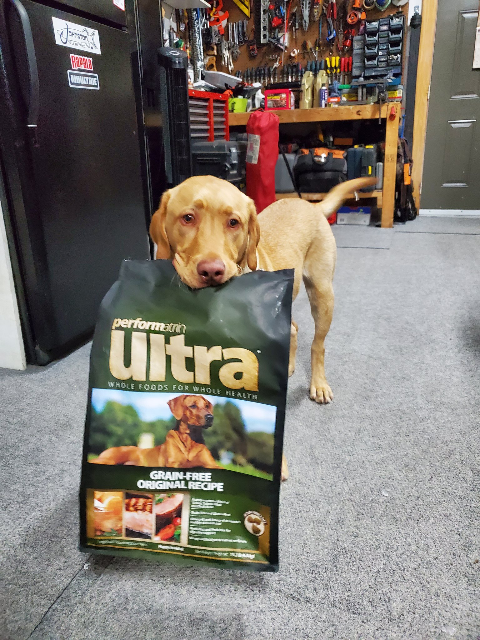 Where Is Performatrin Dog Food Manufactured