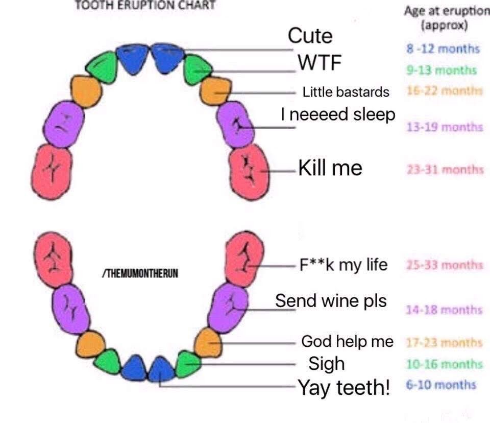 Какой первый зуб выпадает у ребенка