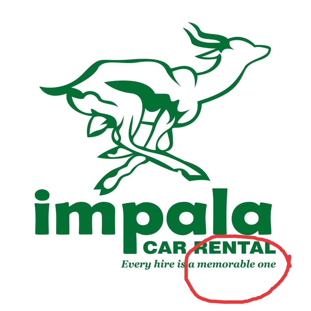 zimlive's tweet image. Owner of Impala Car Rental was on SABC last night claiming he gave @zimlive details of person who hired Ford Ranger in Tawanda Muchehiwa abduction. We went to address 2447 Domboramwari, Epworth, looking for Moses Chokure. We are 99.99 percent sure no such person in Zimbabwe