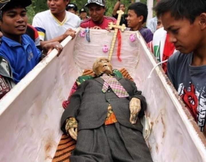 Masyarakat adat Toraja percaya jika ritual Ma' Nene tidak dilakukan sebelum masa panen, maka akan sawah-sawah dan ladang mereka akan mengalami kerusakan dengan banyaknya tikus dan ulat yang datang tiba-tiba.